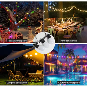 <strong>Custom</strong> Length RGB+W Christmas Party APP Point Control <strong>String</strong> <strong>Colorful</strong> Lighting Ball <strong>String</strong> <strong>Light</strong> - Product Image 6