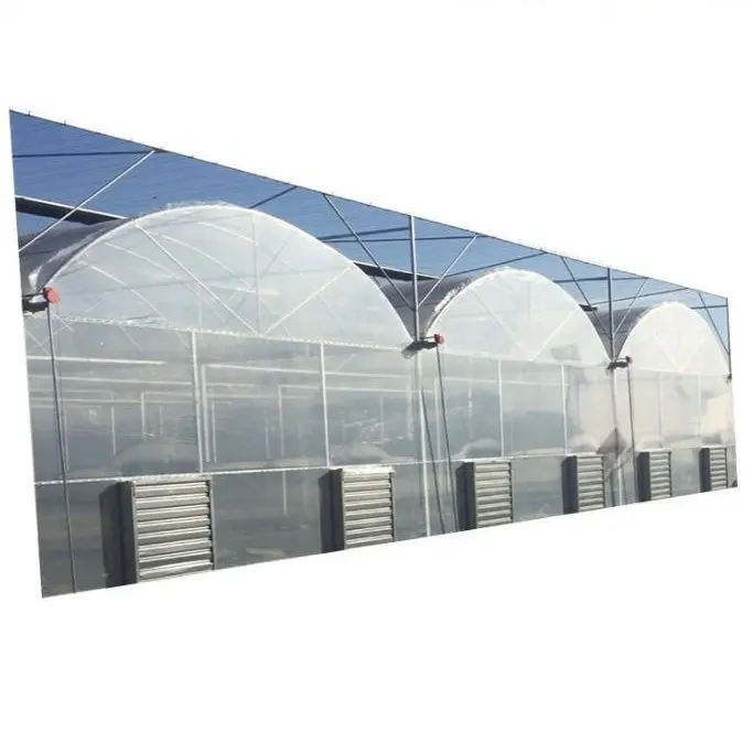 Invernadero conectado de doble arco y doble membrana para plantación ecológica agrícola