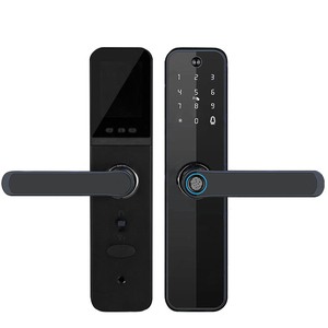 Porta di riconoscimento facciale 3D XSDTS con Smart Lock citofono Live - Product Image 1
