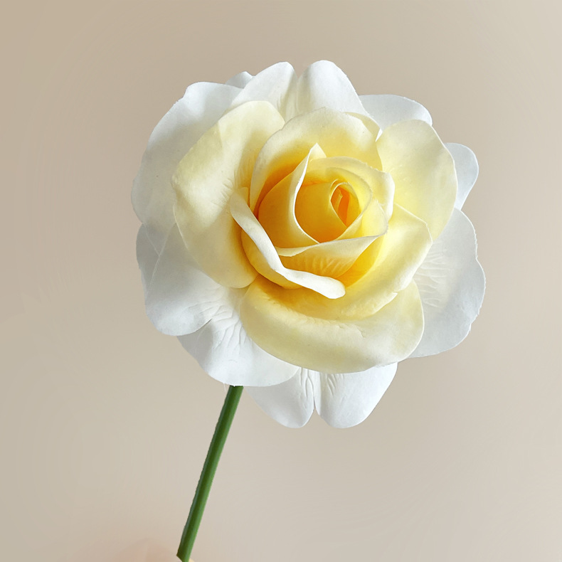 02-Jaune