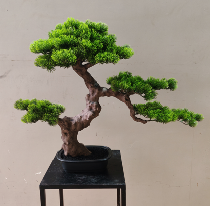 verde-2
