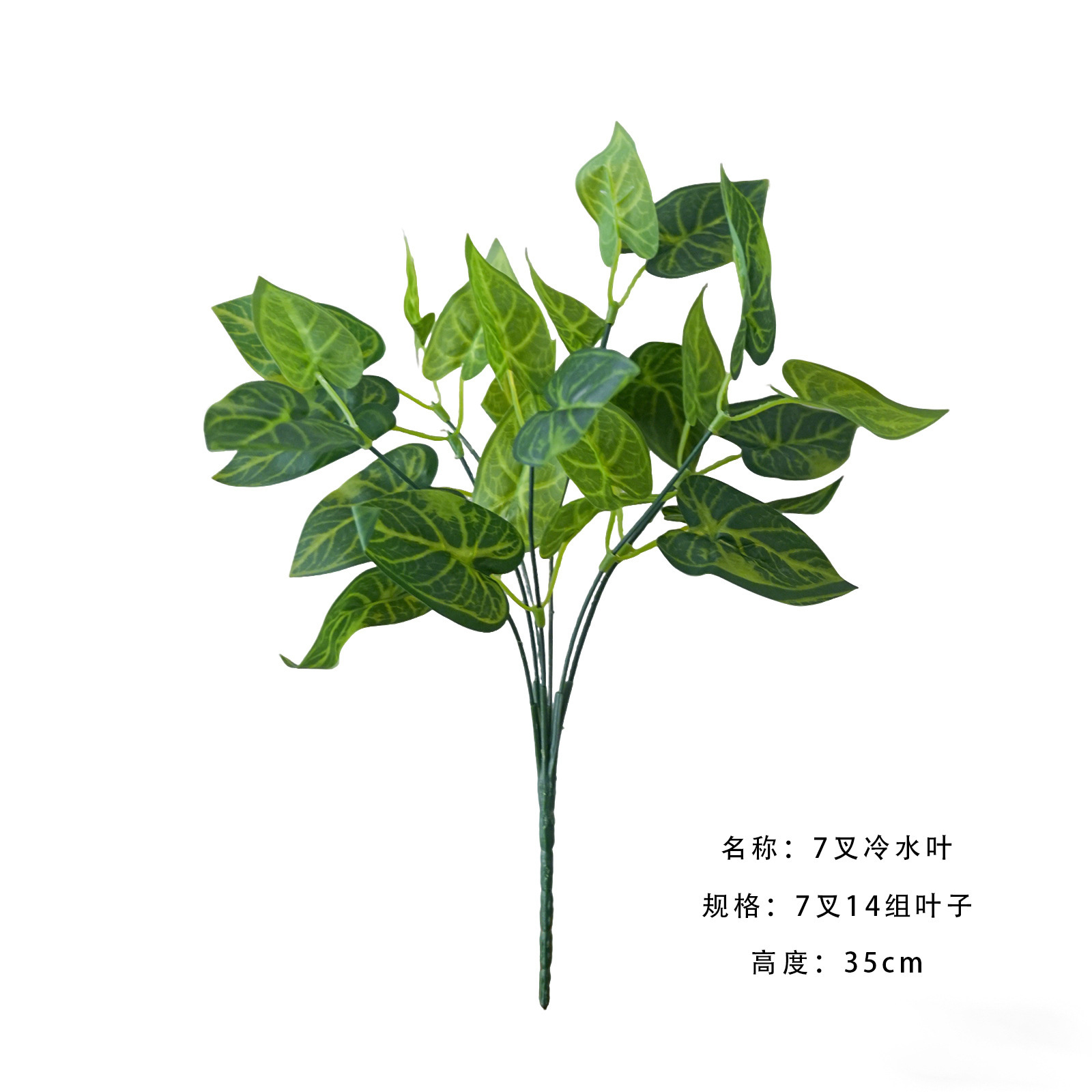 7 fork cold water leaves a branch