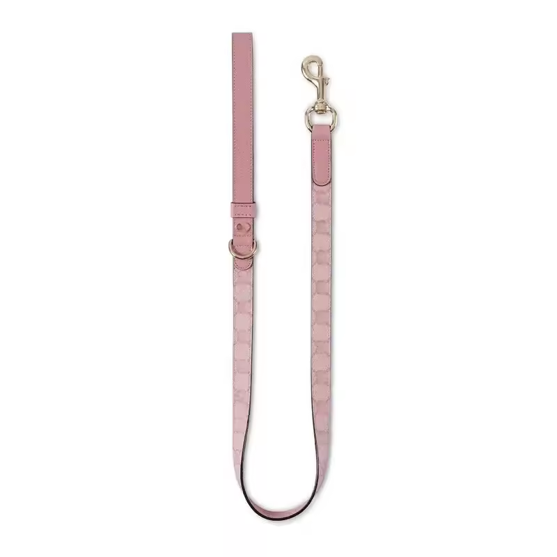Pink leash