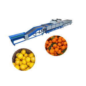Linea di pulizia e smistamento delle date delle dimensioni delle date rosse - Product Image 6