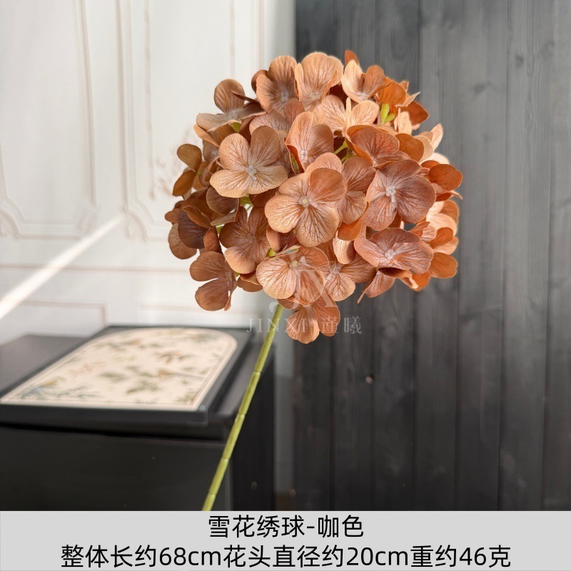 Hortensia flocon de neige