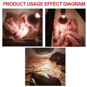 Hot Bán Chất Lượng Cao Đèn Chăn Nuôi Đặc Biệt Nhiệt Bóng Đèn Hồng Ngoại Đèn Gà Lồng Ấp Phụ Kiện Nhiệt Bảo Quản - Product Image 5