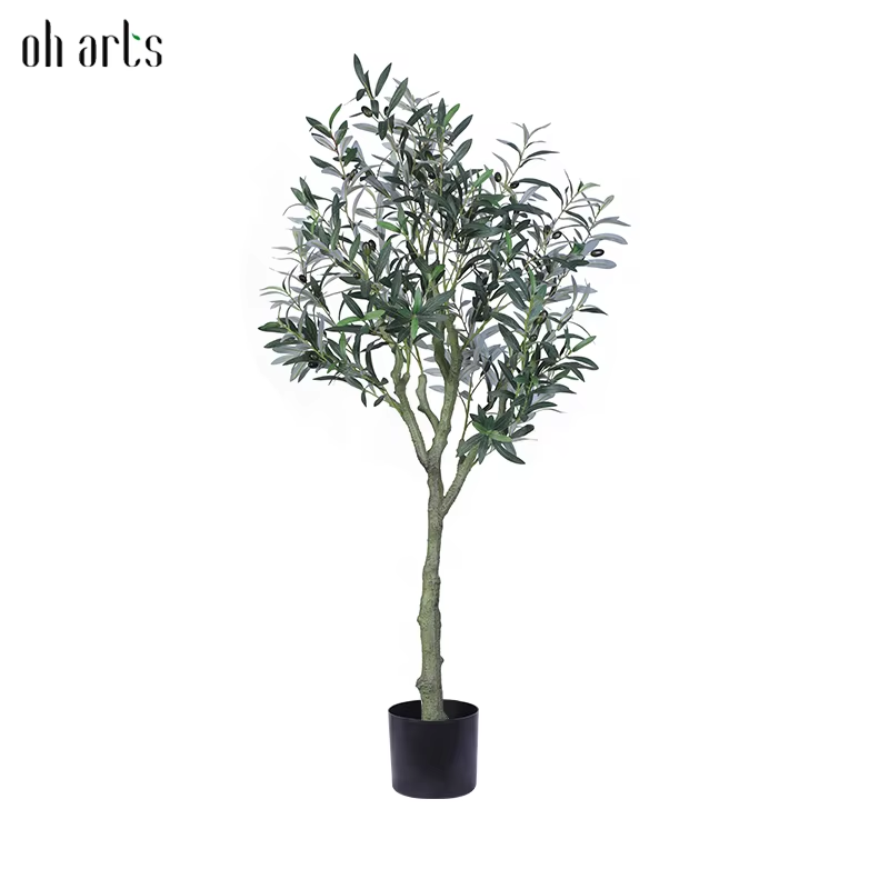OH025060Vert