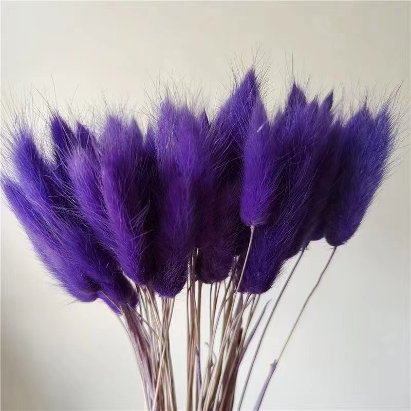 Violet foncé (env.30 pièces)