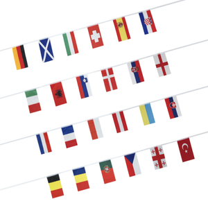 <strong>Custom</strong> 100D Polyester <strong>Flags</strong> <strong>Bunting</strong> Full-Color Printing Polyester Indoor &amp; Outdoor Display