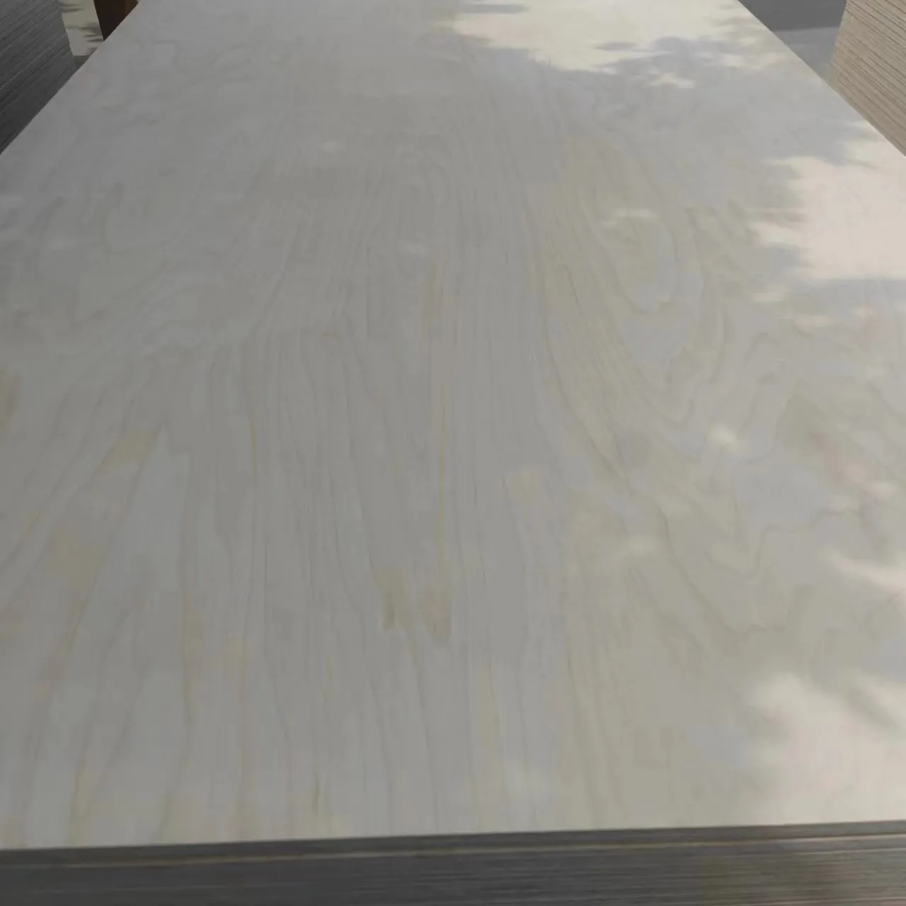 Madera contrachapada de álamo/eucalipto de 18mm con revestimiento UV para muebles/construcción