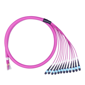 OM3/OM4/OM5 MTP MPO in fibra ottica Patch Cord SM/MM/OM3/OM4/OM5 Multi Fiber Jumper per rete Telecom 5G - Product Image 1