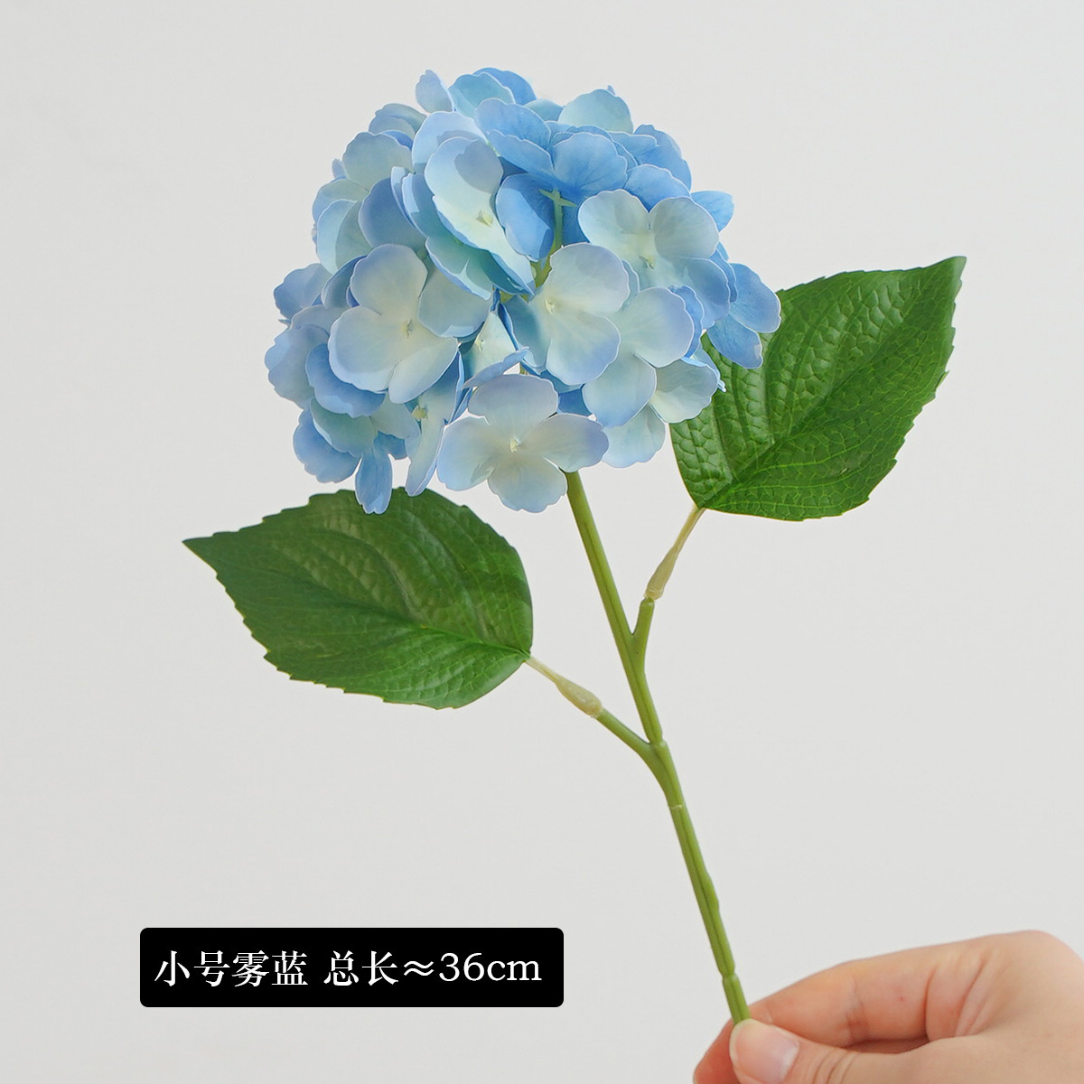 Bleu brumeux