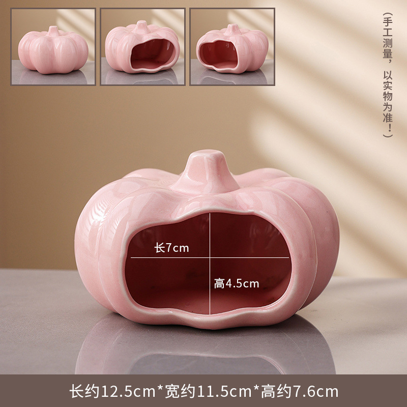Citrouille plate rose (pour hamsters)