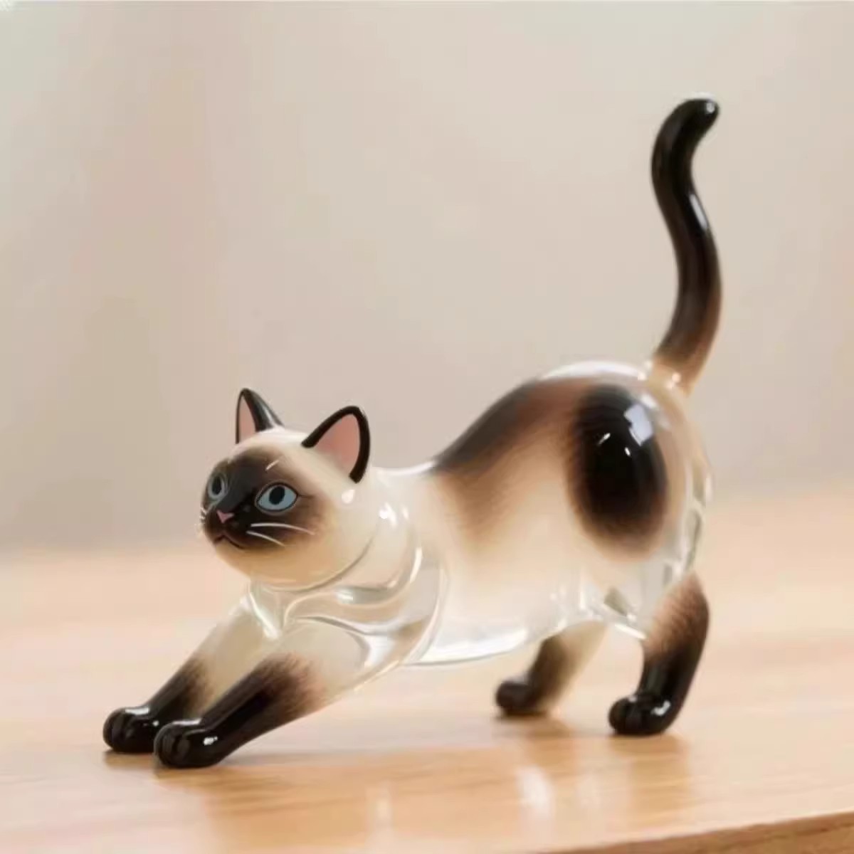 Transparente-Gato Siamés