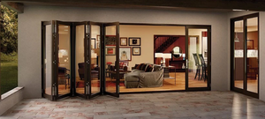 Customizable Modern Style Sliding Door with French Design Steel Frame Hanging Curtain-IdealCN <strong>Supplier</strong> - Product Image 2