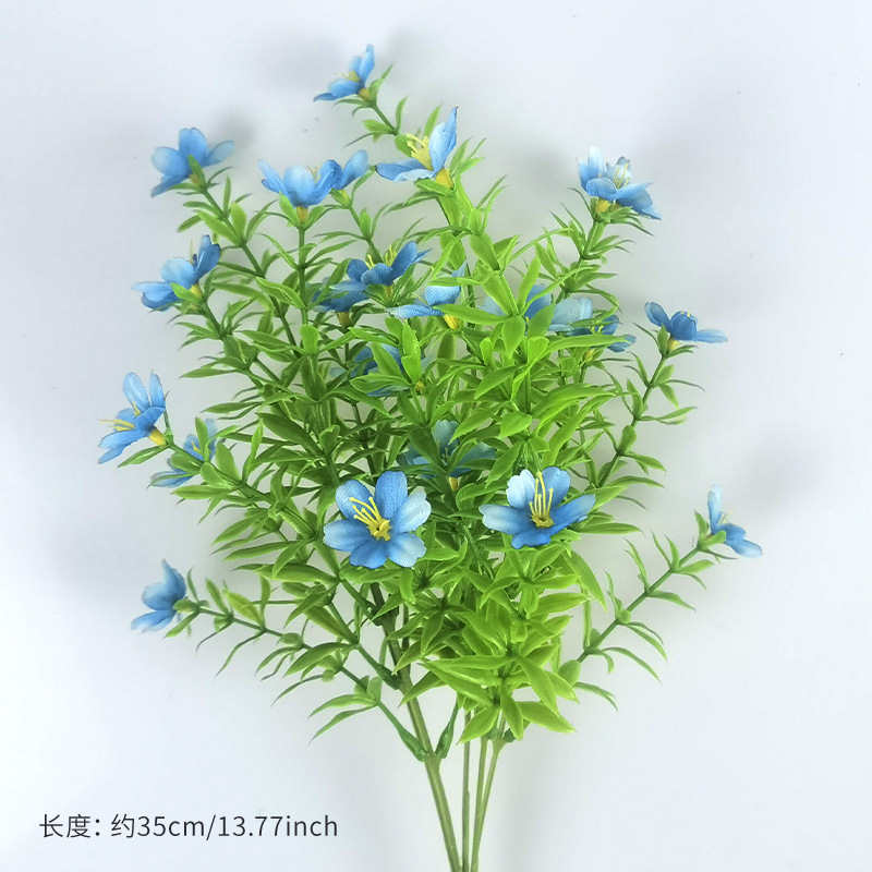 Size 2 small handle (blue)
