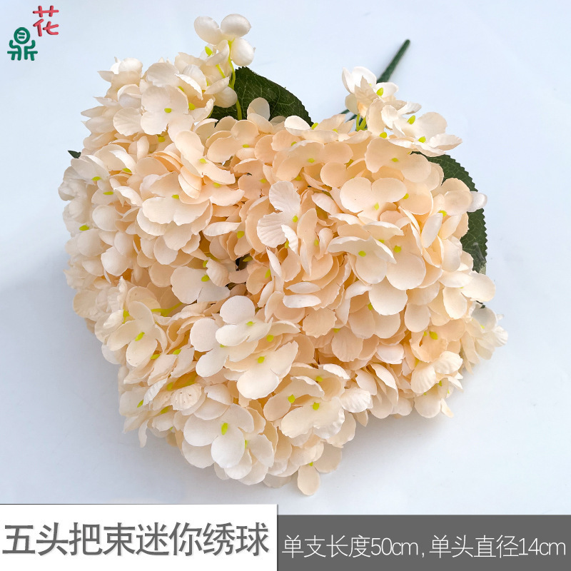Five-head bouquet Mini Hydrangea WZT Champagne