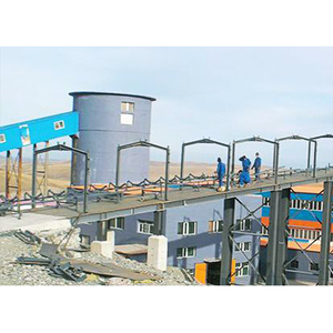 CIL, CIP proses altın cevher zenginleştirme tesisi flotasyon ayırma tesisi