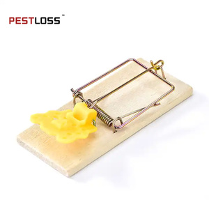 Toptan ODM/OEM katı fare tuzağı hızlı yakalamak kemirgen katil ahşap yapış ABS malzeme ile haşere kontrol fareler yapış sıçan tuzaklar - Product Image 1