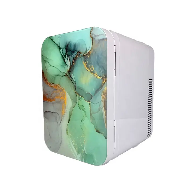 Mini frigo per la bellezza estetica cura della pelle 10L scatola del dispositivo di raffreddamento mini frigo portatile 12v