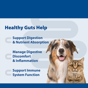 Sindirim bağışıklık desteği için kedi köpek probiyotik takviyesi 15g tüp Pet jel - Product Image 3