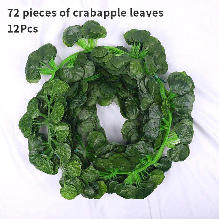 72 morceaux de feuilles de pommiers