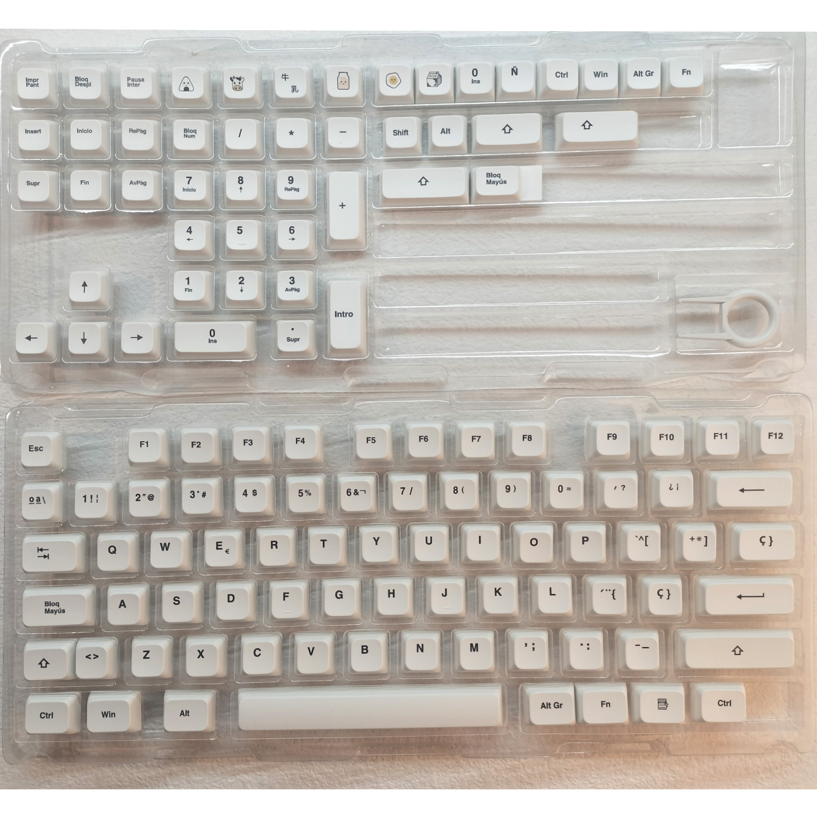 Blanc minimaliste (espagnol) en boîte