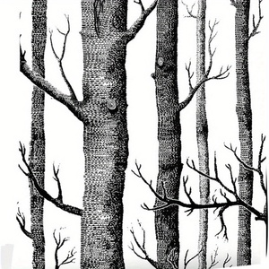 寝室用バーチツリーピールアンドスティック壁紙Papelpintado pelado de abedul-<span class=keywords><strong>Wa</strong></span>用の粘着性のある黒と白のビニールフィルム