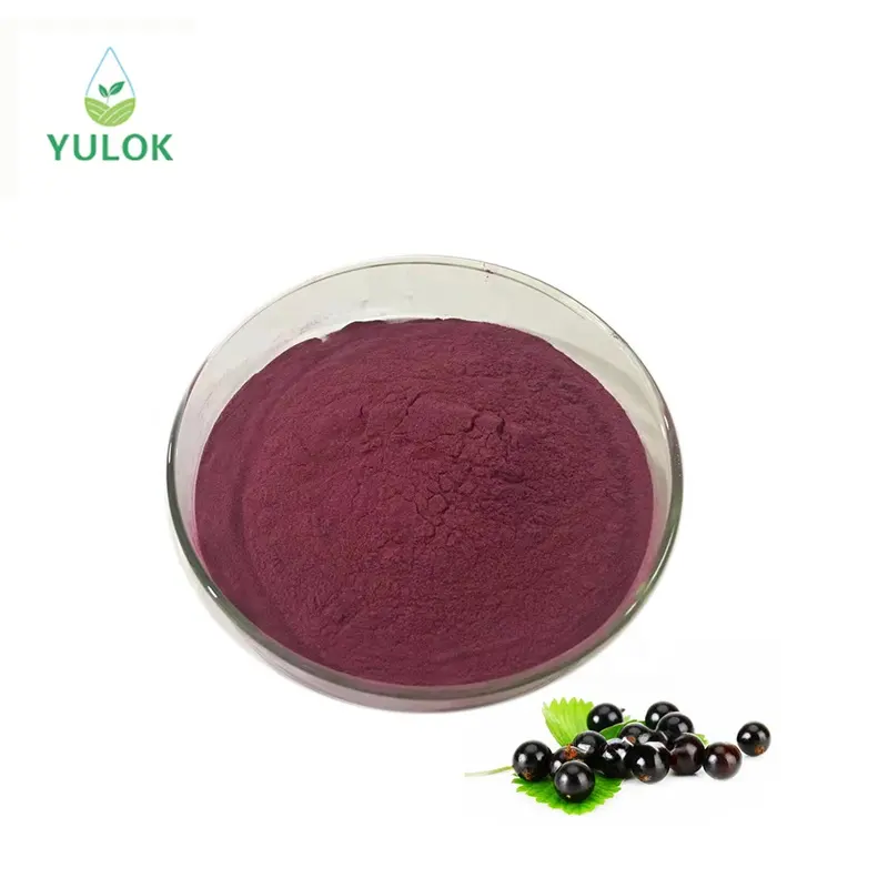 Extracto de fruta de grosella negra de alta calidad, polvo concentrado de jugo de fruta de grosella negra orgánica