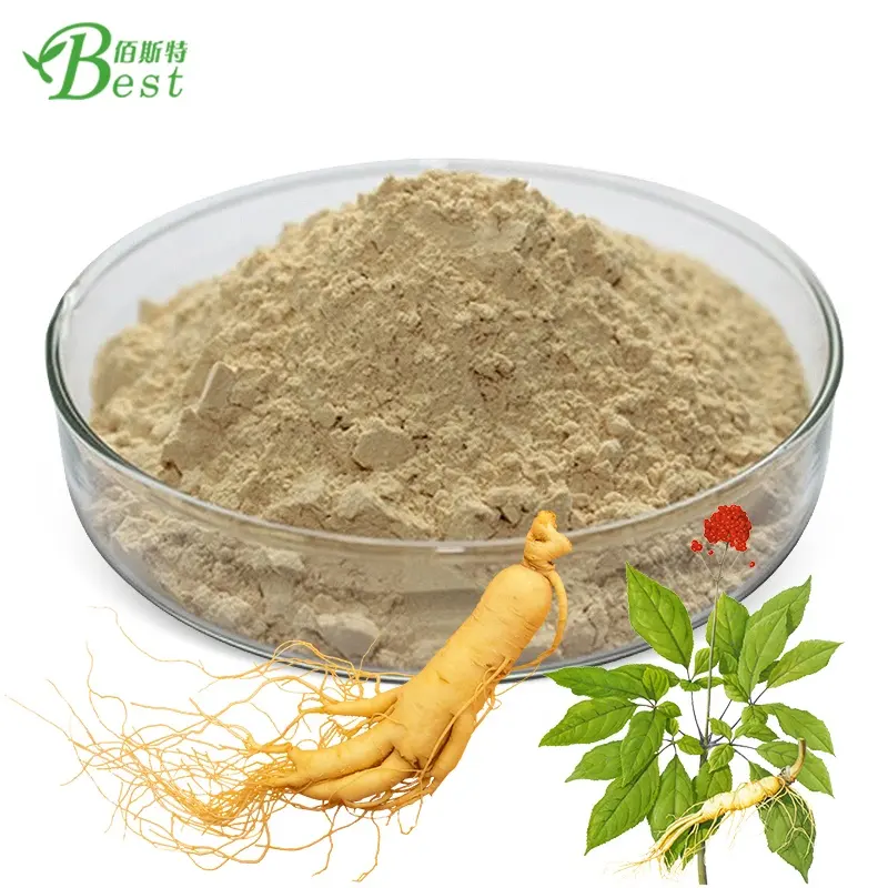 Poudre de racine de ginseng panax de haute qualité 5%-80% ginsénosides ginsénosides poudre d'extrait de ginseng