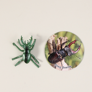 48PCS/box with Card Educational PVC Insect Exploration Kit Insect Models with Description Cards Discover the Insect <strong>World</strong> - Product Image 2