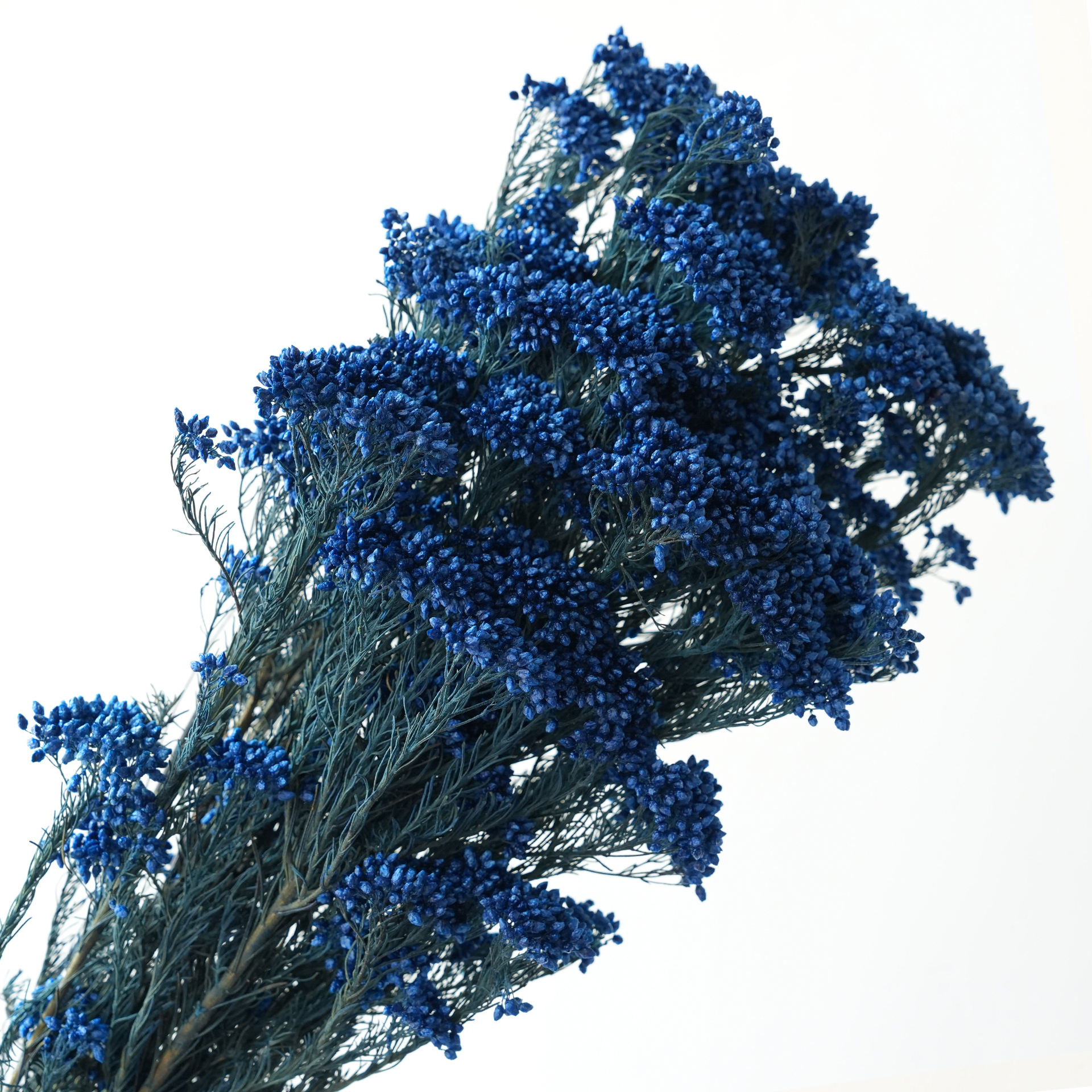 Blue-85g