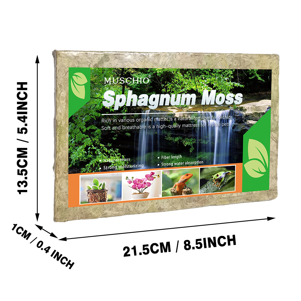 100g