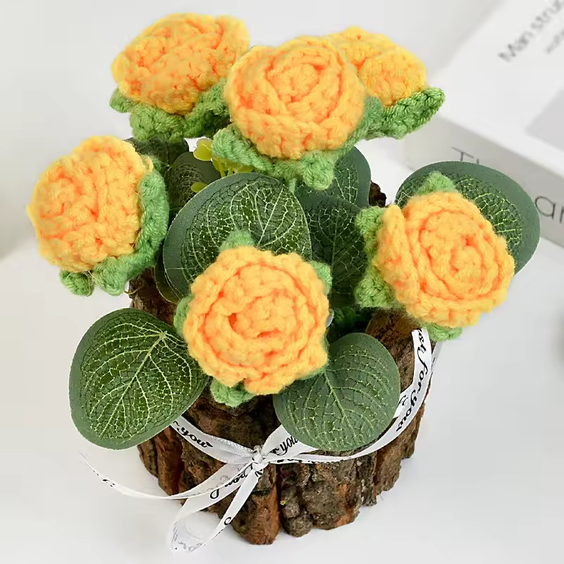 ต้นกุหลาบสีเหลืองถัก 6 ต้นในกระถาง