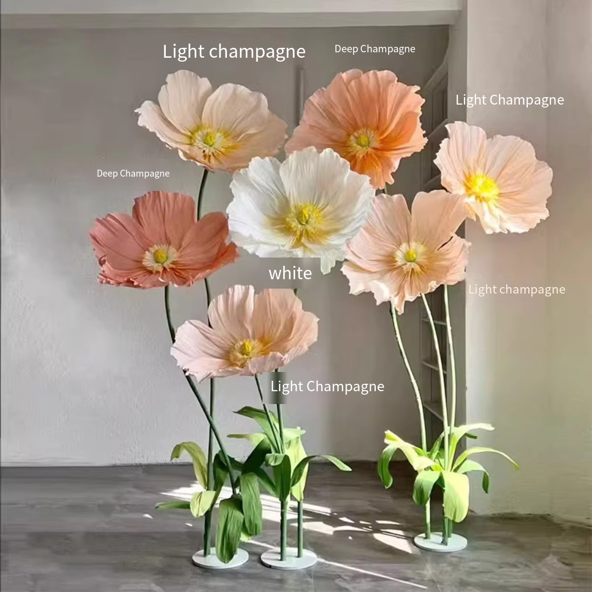 Colorful--Main picture 7-piece set really recommend