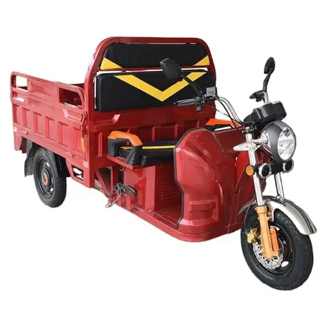 Three Wheel Motorcycle Closed Electric Cargo Tricycle with Lead Acid Battery