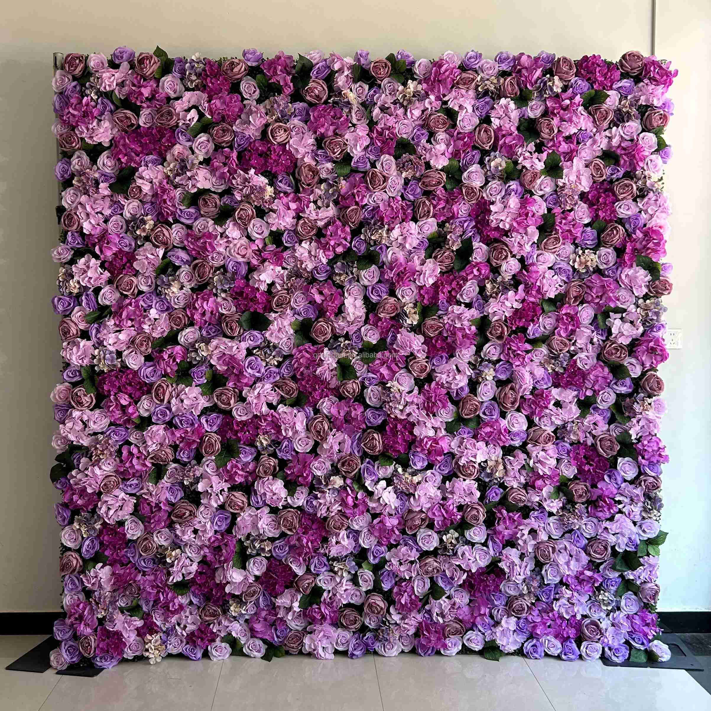Viola 05