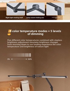 2025 Настольный светильник с двумя головками - Product Image 3