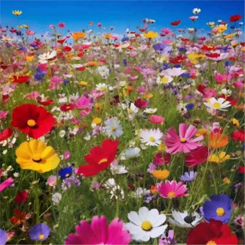 6# จี เสี่ยวจู