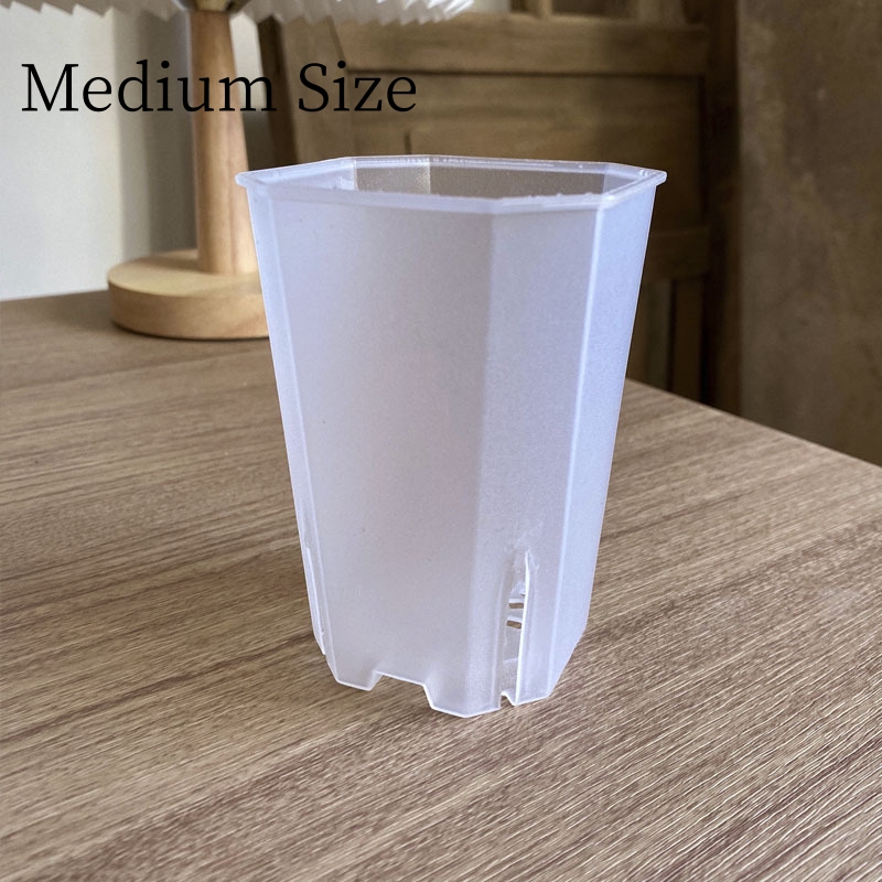 6 M Transparente Solo la maceta