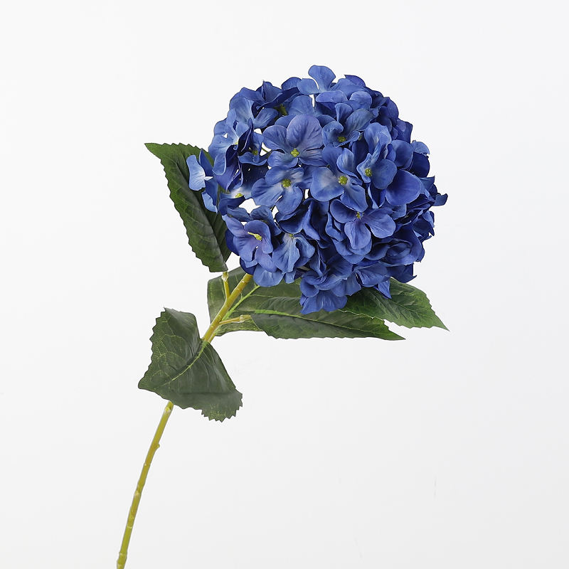 สีน้ำเงิน