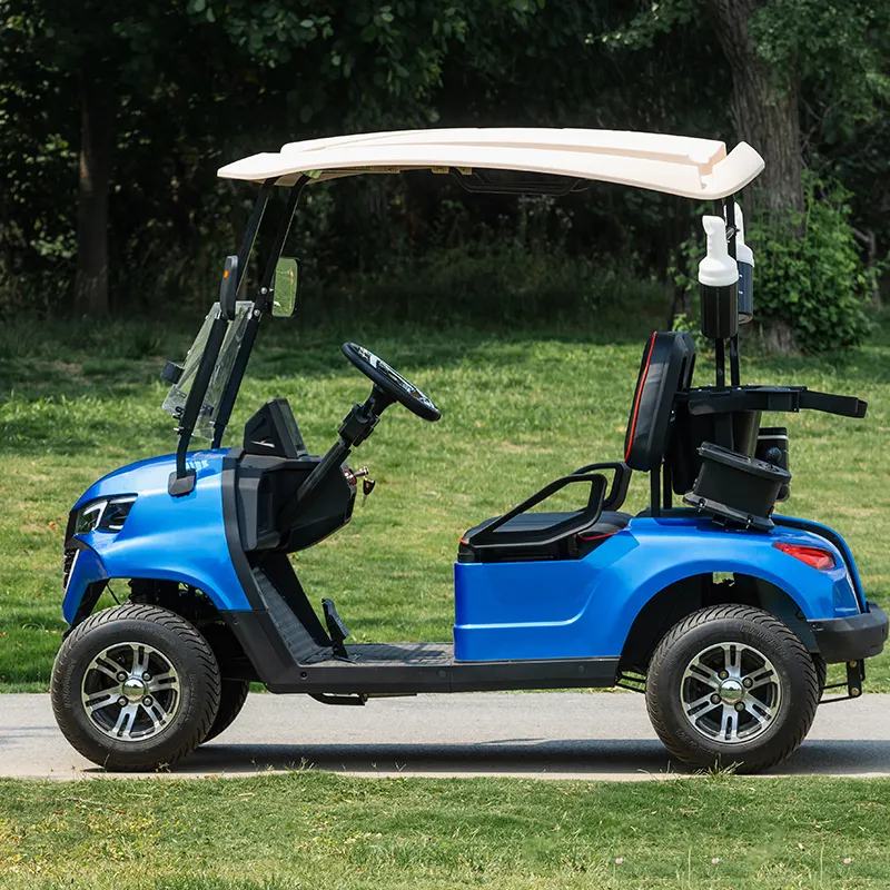 Ventes directes d'usine FORGE-G2 voiturette de golf haute performance voiturettes de golf électriques 2 sièges