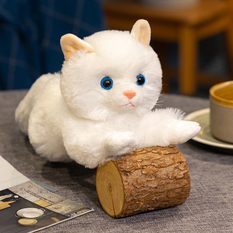 chat persan