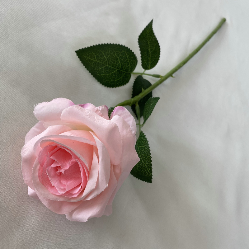 16# Rosa, Rosa única lijada
