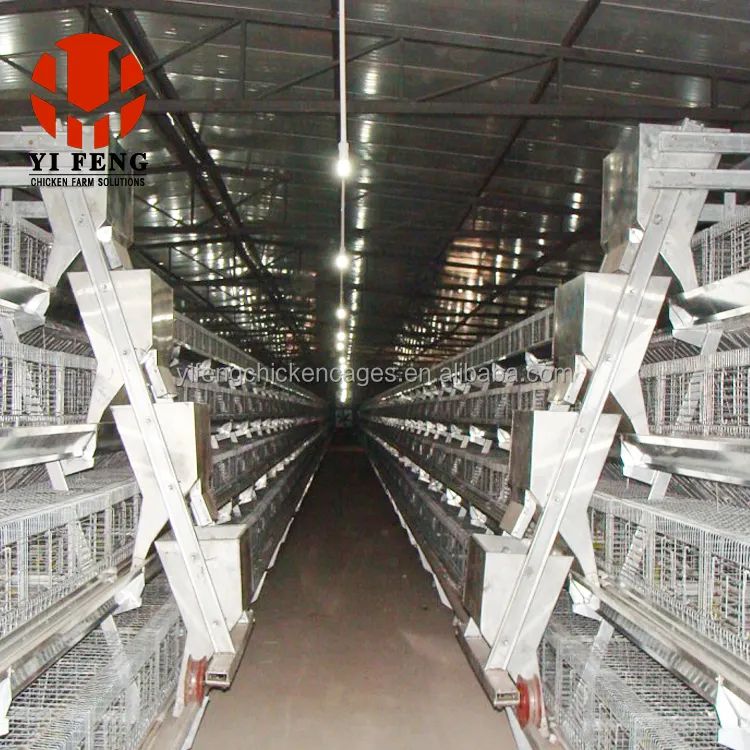 YIFENG طبقة قفص الدواجن مزرعة الدجاج ميكانيكية معدّات تربية الدواجن طبقة أقفاص دواجن لمزارع كينيا