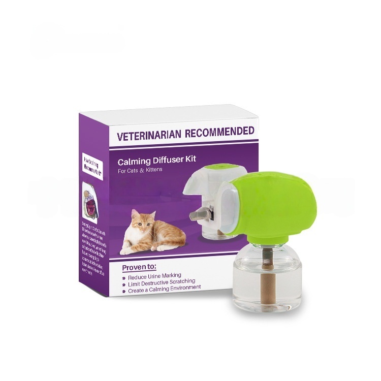 Chat violet (norme européenne 1+1)