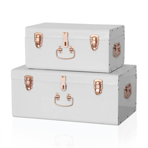 Depolama gövde seti 2 demir kaplama Metal gövde organizasyon ve dekoratif - Product Image 1