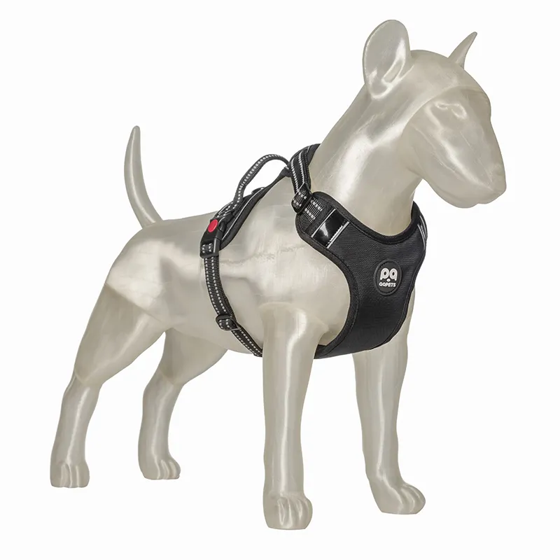 3D-Louis Offre Spéciale blanc impression 3D Bull Terrier chien modèle vêtements et accessoires pour animaux de compagnie belle présentation corps entier taille réelle chien en fibre de verre