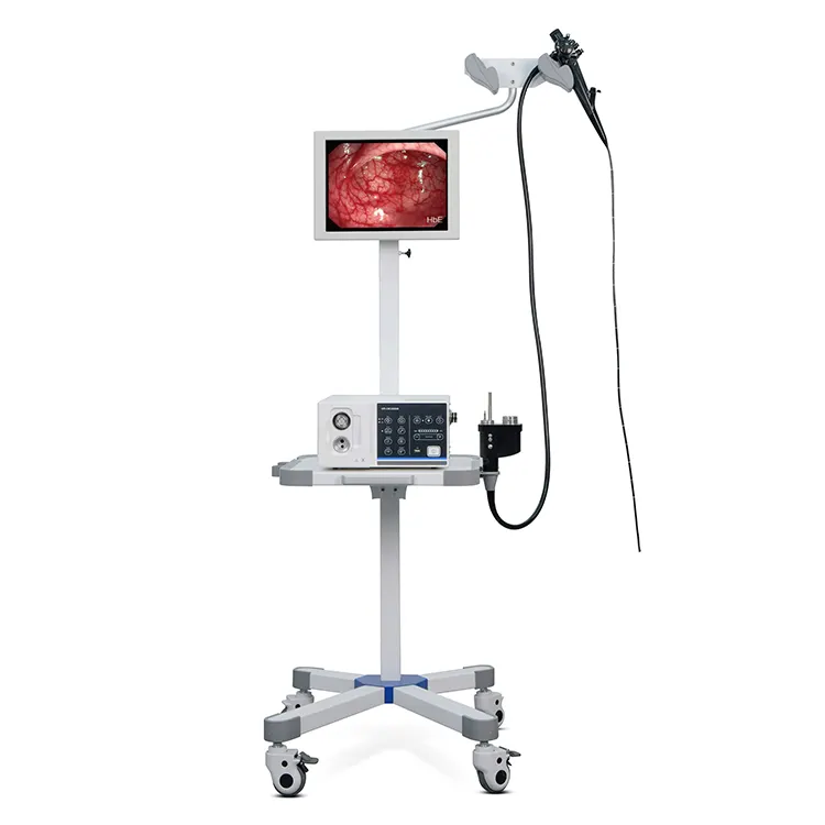 Ysenmed YSENDO150V système d'endoscope vidéo vétérinaire haute définition endoscope vétérinaire prix endoscope médical vétérinaire