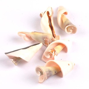 Takı için delikler kesilmiş deniz kabuğu ile dekoratif kabuklu deniz hayvanı kabuğu cips - Product Image 2